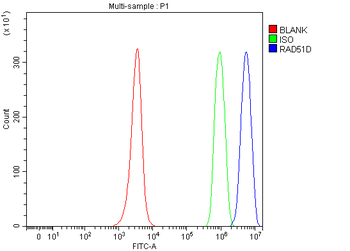 RAD51D Rabbit Polyclonal Antibody