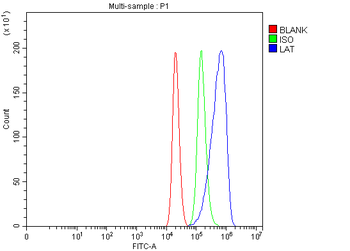 Lat Rabbit Polyclonal Antibody