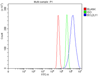 Bim/Bcl2l11 Rabbit Polyclonal Antibody