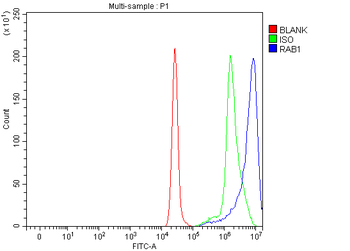 RAB1A Rabbit Polyclonal Antibody