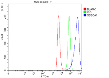SSSCA1/ZNRD2 Rabbit Polyclonal Antibody