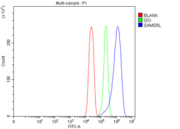 SAMD9L Rabbit Polyclonal Antibody