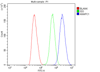 APC1/ANAPC1 Rabbit Polyclonal Antibody