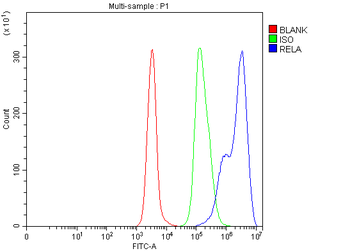 NF-κB p6/RELA/NF Rabbit Polyclonal Antibody