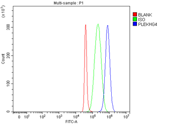 PLEKHG4 Rabbit Polyclonal Antibody