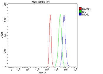 MLKL Rabbit Polyclonal Antibody