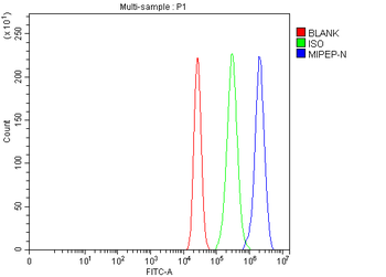 MIPEP Rabbit Polyclonal Antibody
