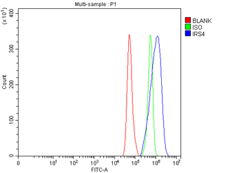 IRS4 Rabbit Polyclonal Antibody