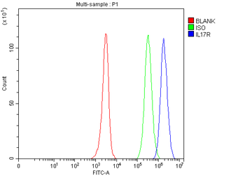 CD127/IL7R Rabbit Polyclonal Antibody