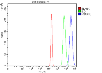 HSPA1L Rabbit Polyclonal Antibody