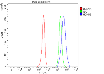 HDHD5 Rabbit Polyclonal Antibody