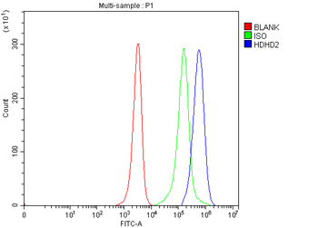 HDHD2 Rabbit Polyclonal Antibody