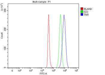Tenascin-R TNR Rabbit Polyclonal Antibody