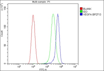 VEGF/VEGFA Rabbit Polyclonal Antibody