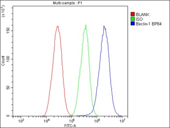 Beclin 1/BECN1 Rabbit Polyclonal Antibody