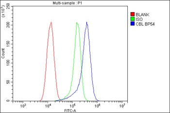 CBL Rabbit Polyclonal Antibody