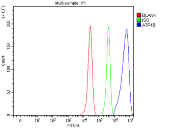 ATP4B Rabbit Polyclonal Antibody
