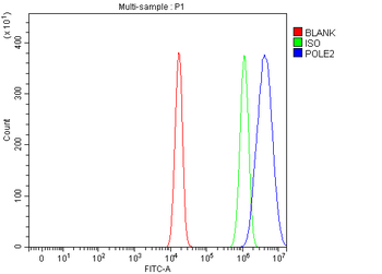 POLE2 Rabbit Polyclonal Antibody
