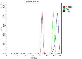 CD44 Rabbit Polyclonal Antibody