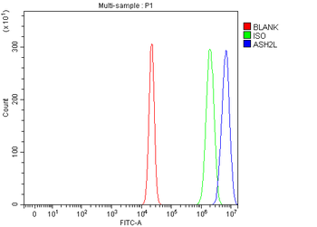 ASH2L Rabbit Polyclonal Antibody