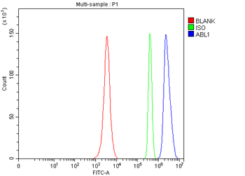 ABL1 Rabbit Polyclonal Antibody