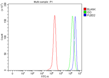 PLBD2 Rabbit Polyclonal Antibody