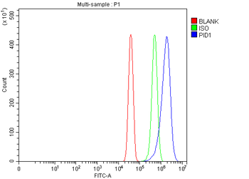 PID1 Rabbit Polyclonal Antibody