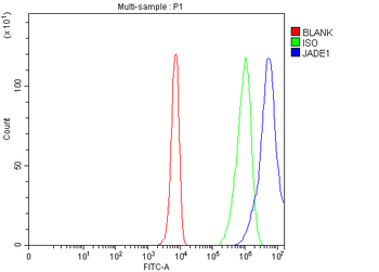 JADE1 Rabbit Polyclonal Antibody