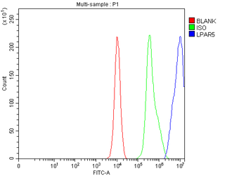 LPAR5 Rabbit Polyclonal Antibody