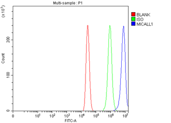 MICALL1 Rabbit Polyclonal Antibody