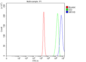 NR1H3 Rabbit Polyclonal Antibody