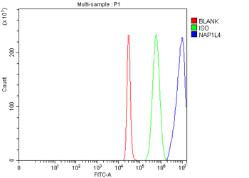 NAP1L4 Rabbit Polyclonal Antibody