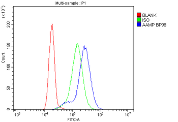 AAMP CCL18 Rabbit Polyclonal Antibody
