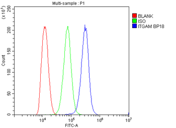CD11b/ITGAM Rabbit Polyclonal Antibody