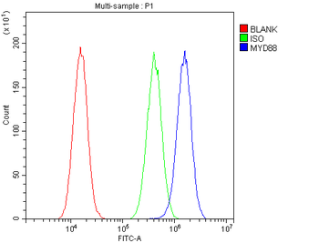MyD88 Rabbit Polyclonal Antibody