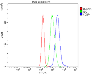 PD-L1/CD274/PD Rabbit Polyclonal Antibody