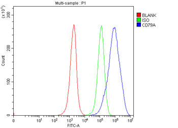 CD79a Rabbit Polyclonal Antibody