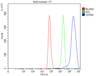 CD79a Rabbit Polyclonal Antibody