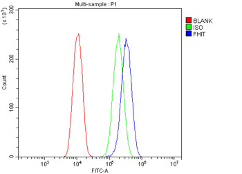 FHIT Rabbit Polyclonal Antibody