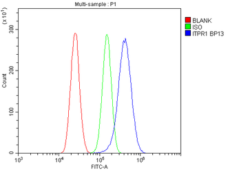IP3 receptor/ITPR1 Rabbit Polyclonal Antibody