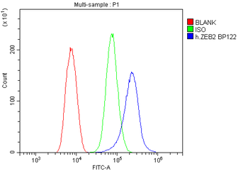 Smad Interacting Protein 1/ZEB2 Rabbit Polyclonal Antibody