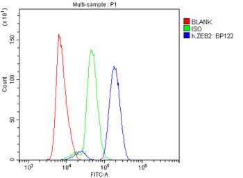 Smad Interacting Protein 1/ZEB2 Rabbit Polyclonal Antibody