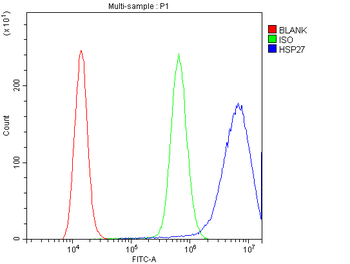 Hsp27/HSPB1 Rabbit Polyclonal Antibody