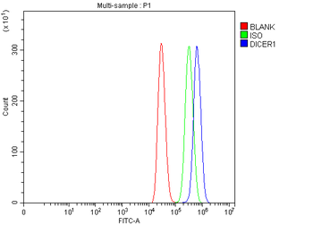 Dicer/DICER1 Rabbit Polyclonal Antibody