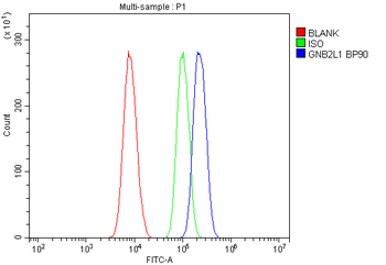 RACK1 GNB2L1 Rabbit Polyclonal Antibody