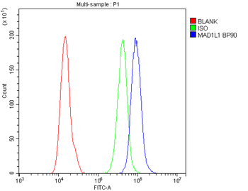 MAD1/MAD1L1 Rabbit Polyclonal Antibody
