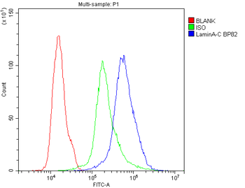 Lamin A+C/LMNA Rabbit Polyclonal Antibody