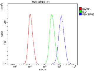 PBK Rabbit Polyclonal Antibody
