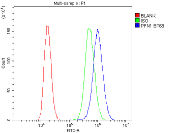 Profilin 1/PFN1 Rabbit Polyclonal Antibody