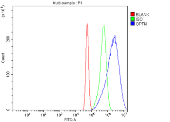 Optineurin/OPTN Rabbit Polyclonal Antibody